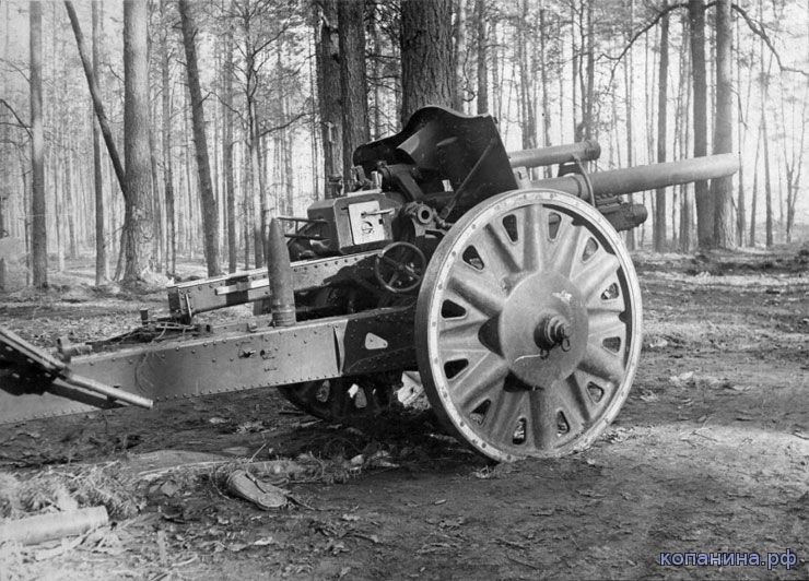 Немецкое орудие в лесу под Киевом