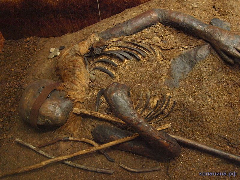 Древние мумии из европейских болот