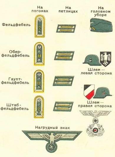 Знаки различия немецких кавалеристов